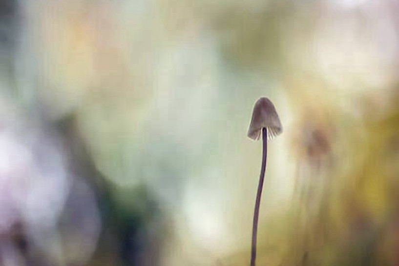 網(wǎng)絡教育每年幾月份報名 什么時候考試