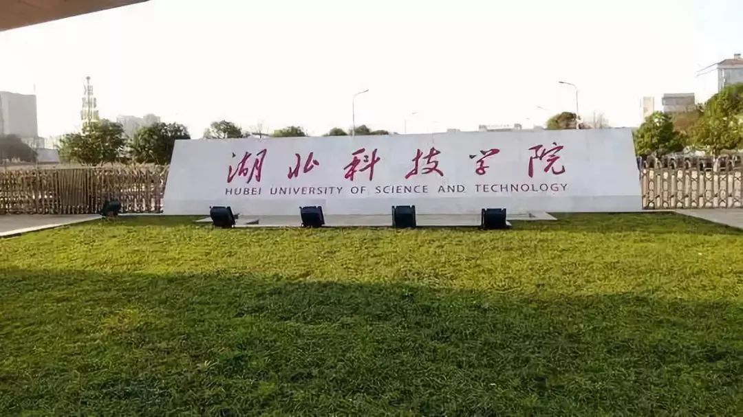 湖北科技學院小吃街去哪,隨州小吃街哪里最出名