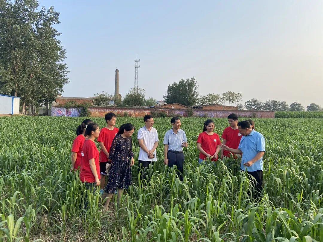 河南農業(yè)大學“科技小院”：鄉(xiāng)村振興旗幟下的一抹紅