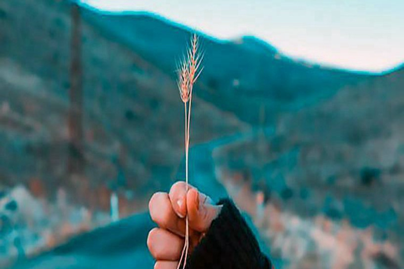 成考工程管理專業(yè)好嗎 就業(yè)前景怎么樣