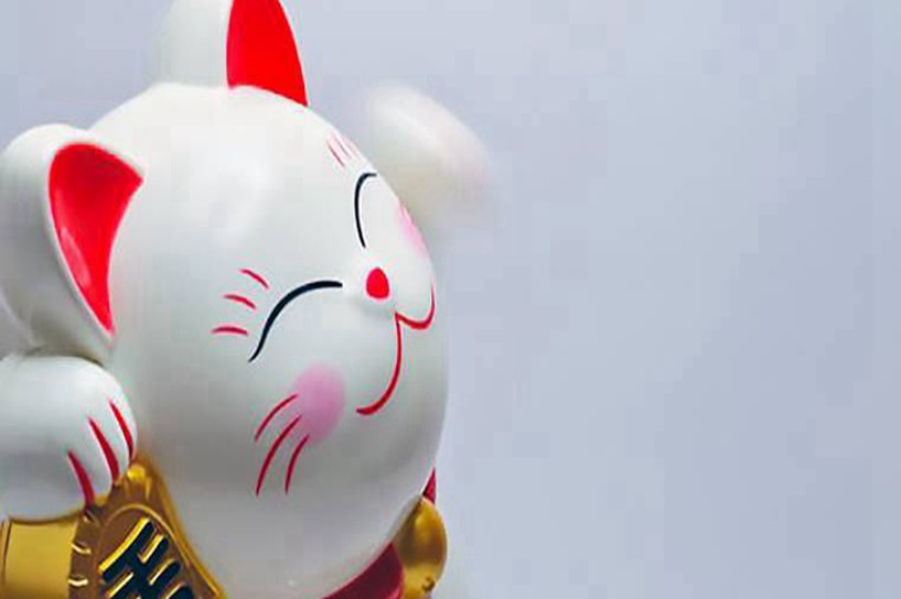 專升本成考學(xué)歷可以考教師資格證嗎