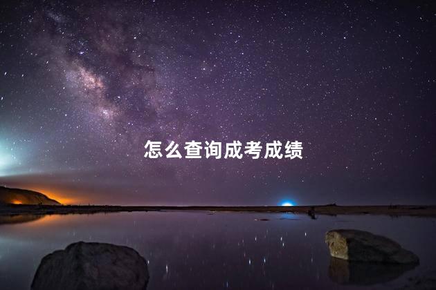 怎么查詢成考成績