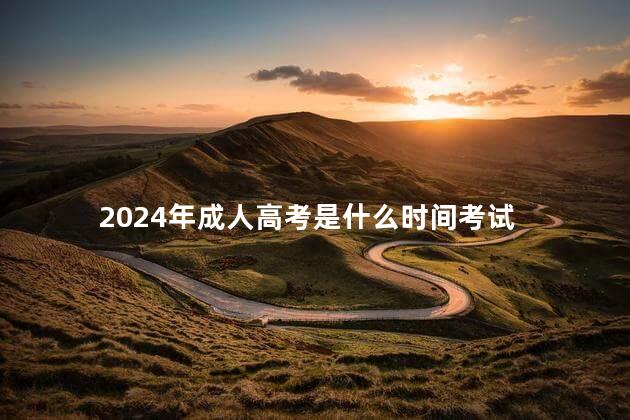 2024年成人高考是什么時間考試