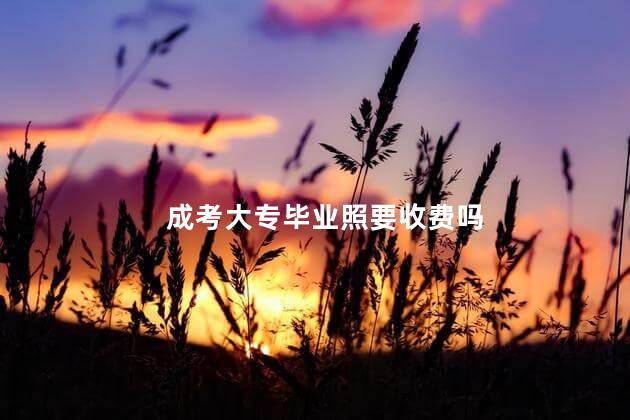 成考大專畢業(yè)照要收費嗎