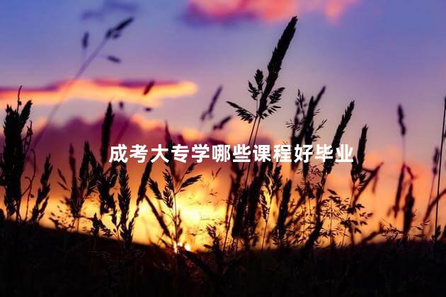 成考大專學哪些課程好畢業(yè)