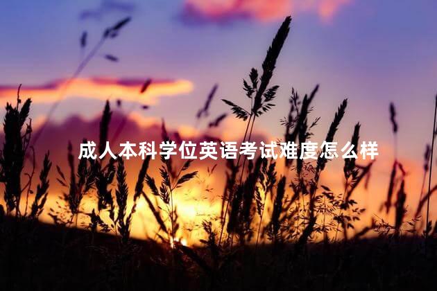 成人本科學(xué)位英語(yǔ)考試難度怎么樣